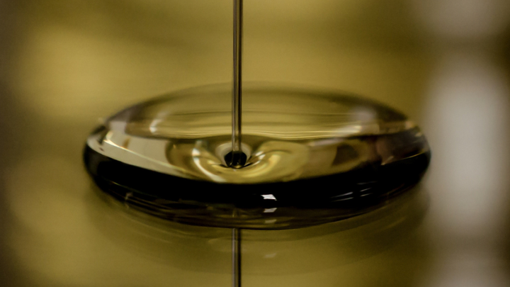 Fish Oil vs Omega-3 vs Krill Oil: What’s the Difference?